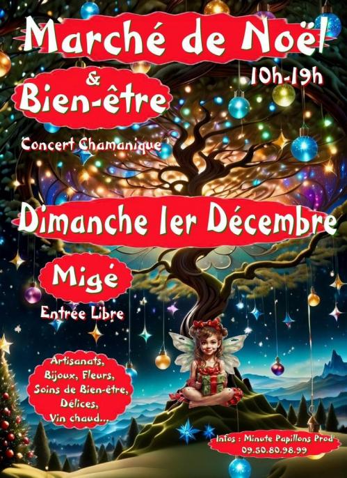 Marche de noel bien etre 2024 l