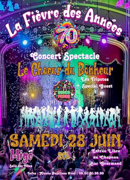 Spectacle la fievre des annees 70 mige light